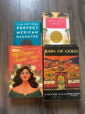 Fat Chance, Charlie Vega by Crystal Maldonado — Orange Paperback Novel set of 4